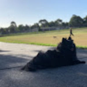 Meet your Posher, Yang